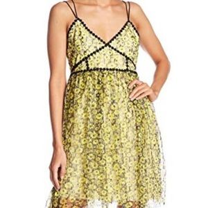 NWT Romeo and Juliet couture dress!